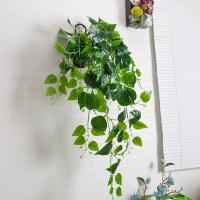 uploads/erp/collection/images/Home Garden/CongDing/XU0612079/img_b/XU0612079_img_b_1